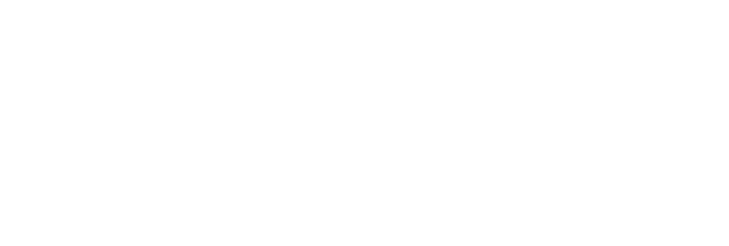 Swim with Micky Fin